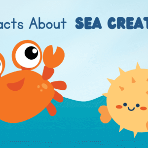 Fun Sea Creature Facts for Kids