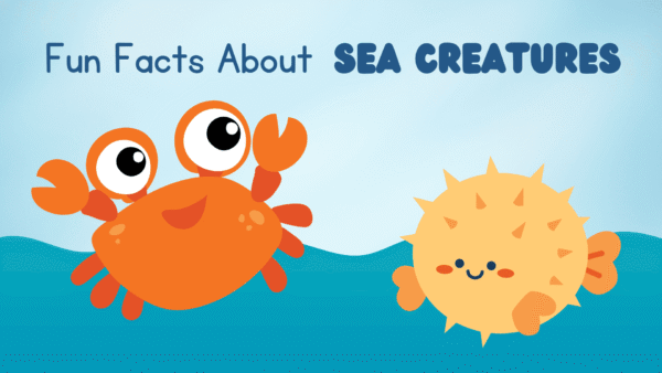 Fun Sea Creature Facts for Kids