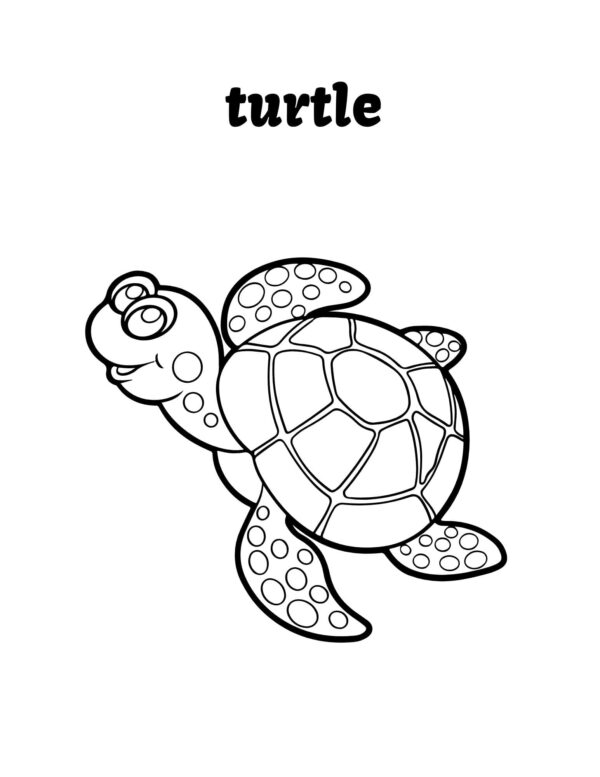 Under the Sea Coloring Pages – Blue Simple Lined Style - Image 2