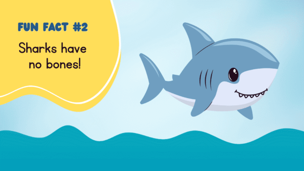 Fun Sea Creature Facts for Kids - Image 2