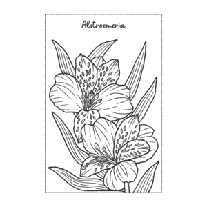 Flower Coloring Book – 8.5x8.5" Printable PDF with 48 Beautiful Floral Designs
