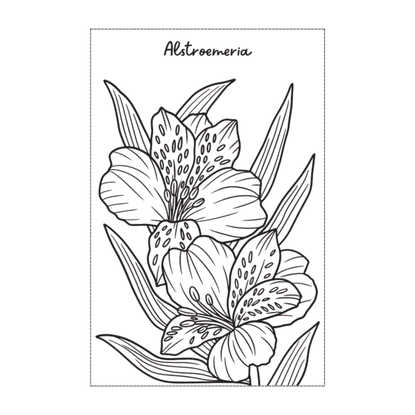 Flower Coloring Book – 8.5x8.5" Printable PDF with 48 Beautiful Floral Designs
