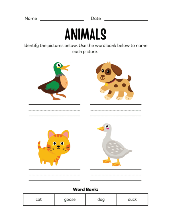 ESL Animals Workbook for Kindergarten Kids - Image 2